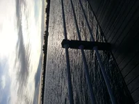 Border usa n Canada.webp