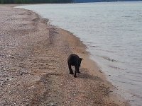 Lost my ball.jpg Lost my ball.jpg