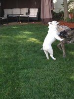 IMG_1807.JPG IMG_1807.JPG