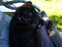 You looking at me.webp