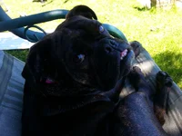 Is this better.webp