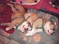 DSCF3086.webp