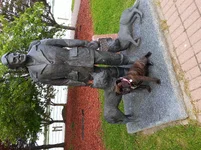 These dogs dont move much.webp