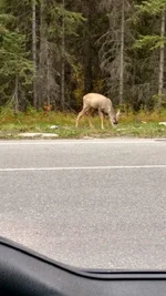 IMG_20160930_132736625_HDR.webp