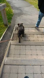 IMG_20160930_124005983.webp