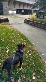 IMG_20160930_124028432_HDR.webp