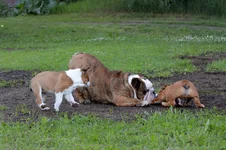 DSC_0823.webp