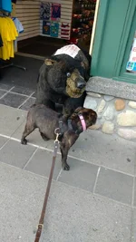 IMG_20160930_130113337.webp