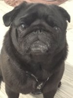 image.jpeg image.jpeg
