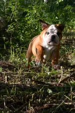 DSC_0744-002.webp