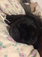 image.jpeg image.jpeg
