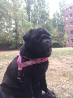image.jpeg image.jpeg