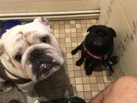 image.jpeg image.jpeg