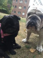 image.jpeg image.jpeg