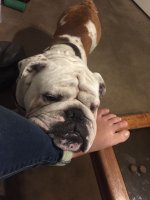 image.jpeg image.jpeg