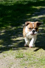 DSC_0259.webp