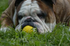 DSC_0327.webp