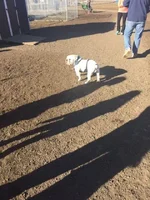 IMG_6582.webp