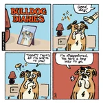 bd_goodboy_august20171.webp bd_goodboy_august20171.webp