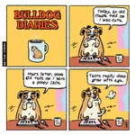 bd_age_august20171.webp bd_age_august20171.webp
