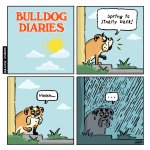 bd_square_april_2017.jpg bd_square_april_2017.jpg