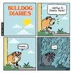 bd_square_april_2017.webp bd_square_april_2017.webp