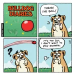 bd_square_april2_2017.webp bd_square_april2_2017.webp