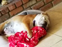 20170620_134844.webp