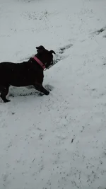 What's this white thing.webp
