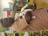 20170525_182643.webp