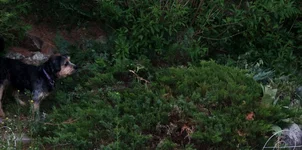 002.webp