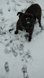 Got me a snowflake.webp