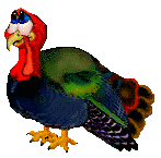 mrs turkey.gif