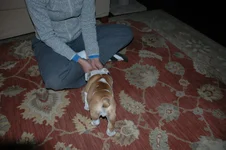 DSC_0014.webp