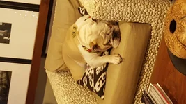20161225_165139.webp