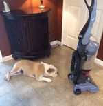 Cleaning.webp