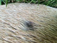 image.webp