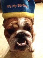 Nigel Toofs & Fangs.webp