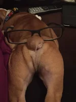 tucker butt.webp