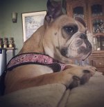 mitsy_4.jpg mitsy_4.jpg