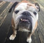 lucy_3.jpg lucy_3.jpg