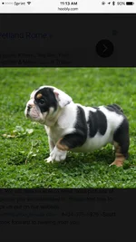 image.webp