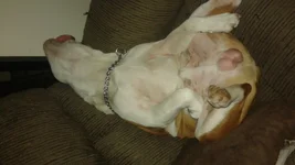 20150724_025442.webp