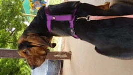 20160523_123251.webp