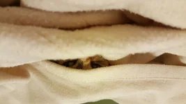 20160521_230943.webp