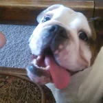 Lucy Picture.webp