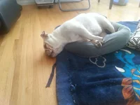 Emily July 2015.webp
