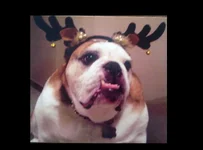 CAM00610.webp CAM00610.webp