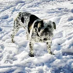 IMG_1773.webp IMG_1773.webp