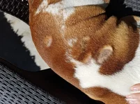 20170314_135304.webp